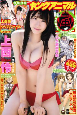 拥抱每一刻花火